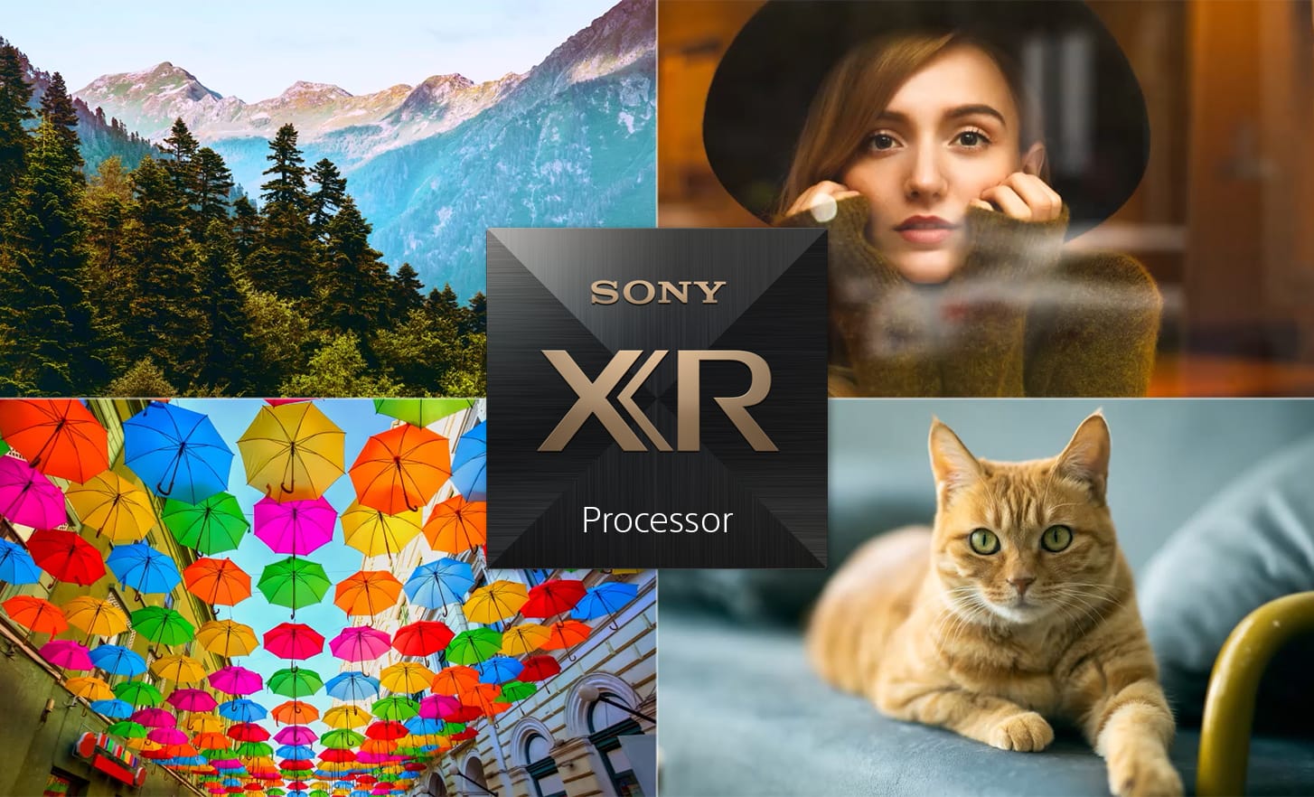 XR Picture Processor